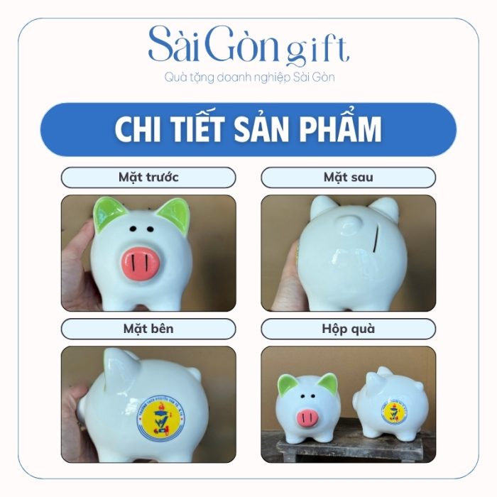 Chi tiết các mặt của heo đất