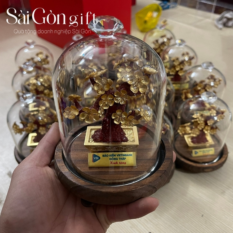 Chậu mai dát vàng quà tặng